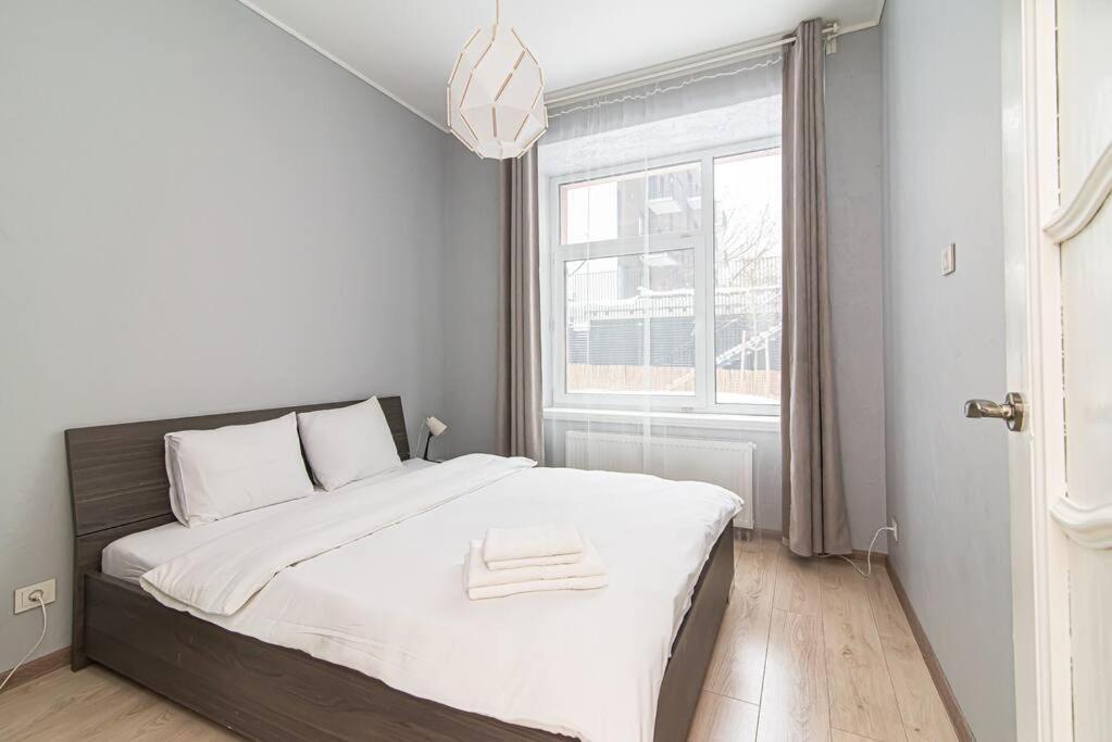 Spacious With Great Location/urban Rent Apartment Vilnius