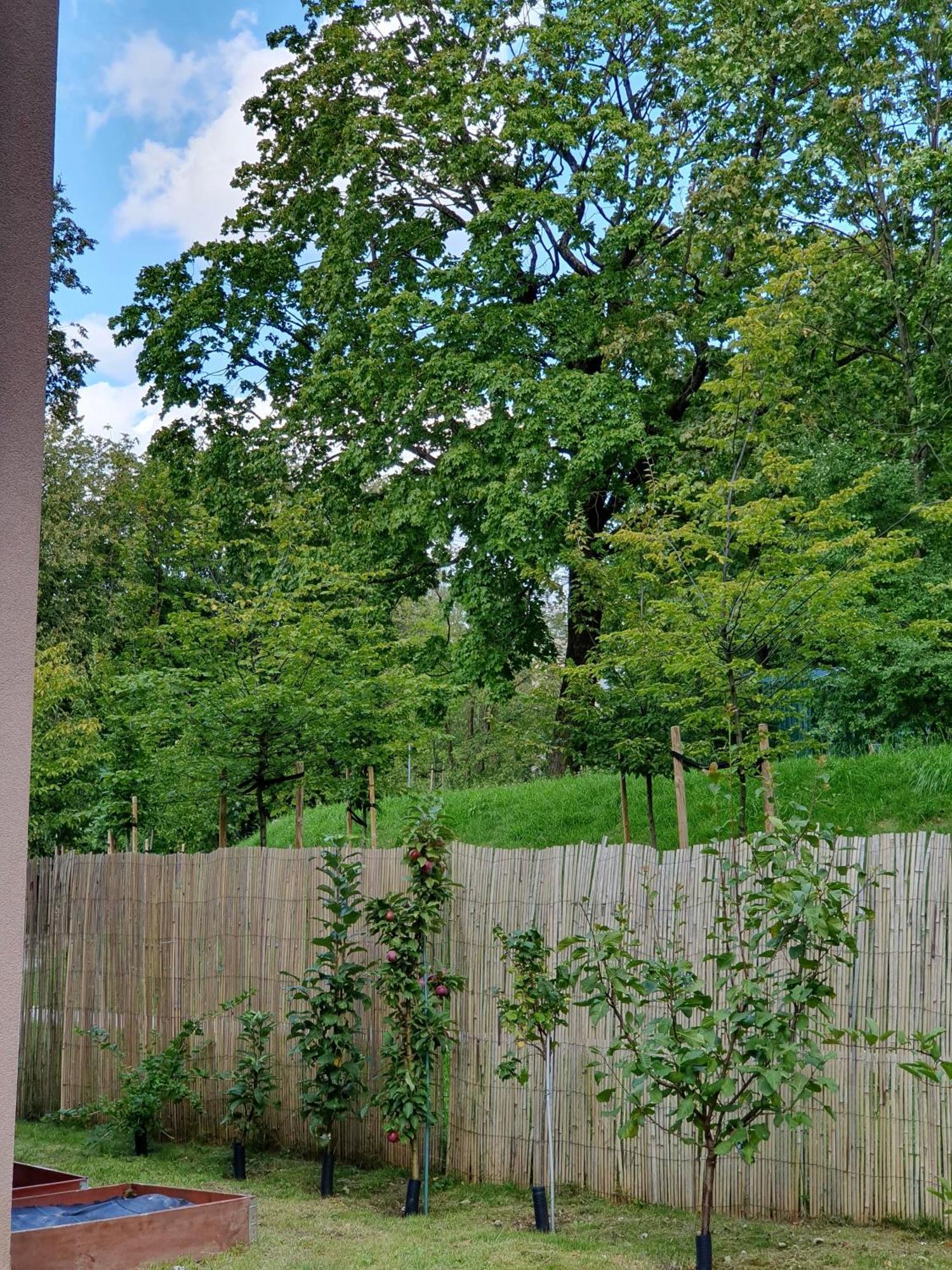 Spacious With Great Location/urban Rent Apartment *